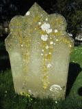 image of grave number 631667